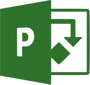 Microsoft Project 2019